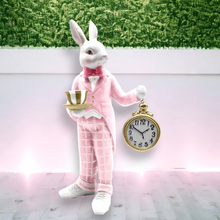 Load image into Gallery viewer, Bunny With Watch
