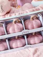 Load image into Gallery viewer, Mini Pink Pumpkins
